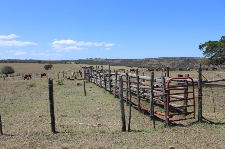 5 Bedroom Property for Sale in Mooiplaas Eastern Cape